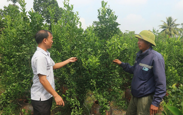 Phong trào “Nông dân thi đua sản xuất, kinh doanh giỏi ở xã Sơn Hùng, huyện Thanh Sơn