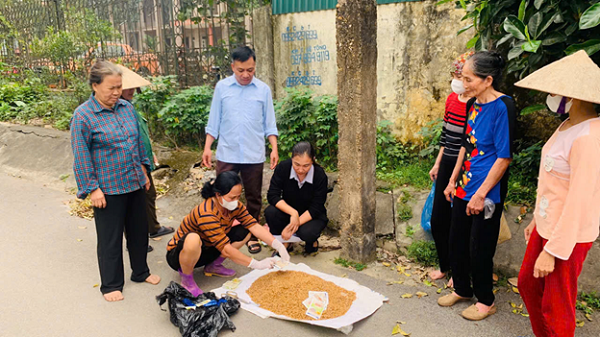 Hội viên nông dân phường Dữu Lâu chủ động bảo vệ lúa và  các loại cây trồng Đông xuân 2025