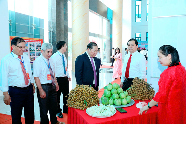 Hội Nông dân phường Hòa Bình sôi nổi tổ chức các hoạt động chào mừng Đại hội Đảng bộ các cấp và kỷ niệm 80 năm Ngày Quốc khánh (2/9/1945-2/9/2025)