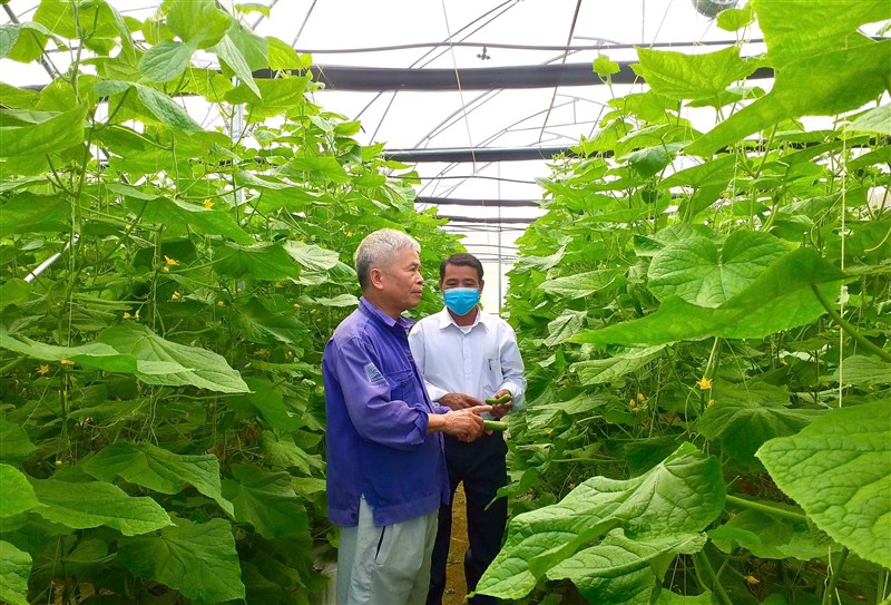 Nông dân xã Phú Khê đẩy mạnh chuyển đổi số trong sản xuất nông nghiệp