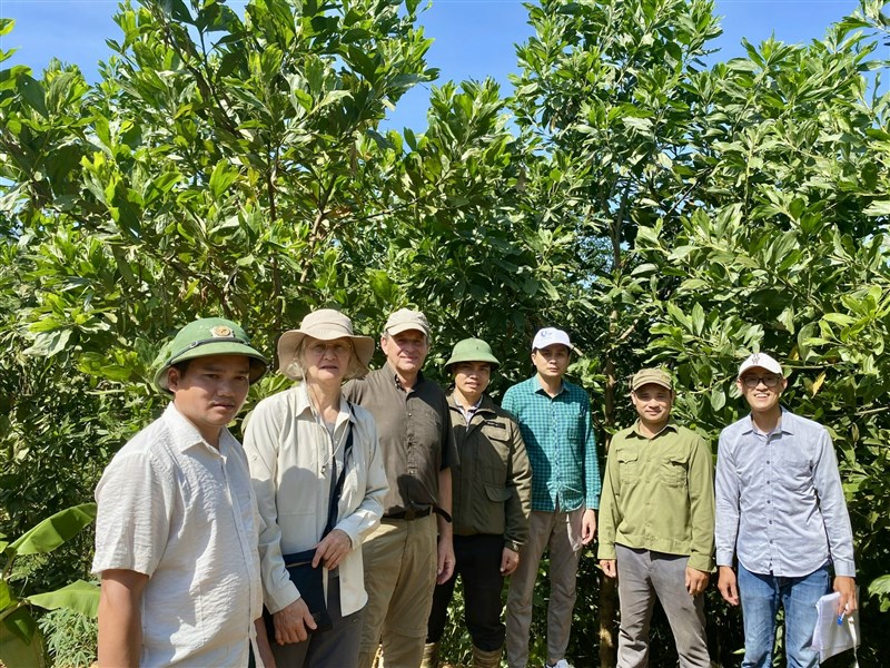 Công ty Silva Causa (Đan Mạch) thăm dự án trồng rừng gỗ lớn