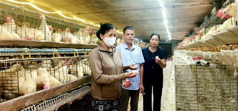 Tấm gương hội viên Hội Nông dân điển hình sản xuất kinh doanh giỏi trên địa bàn xã Cẩm Khê