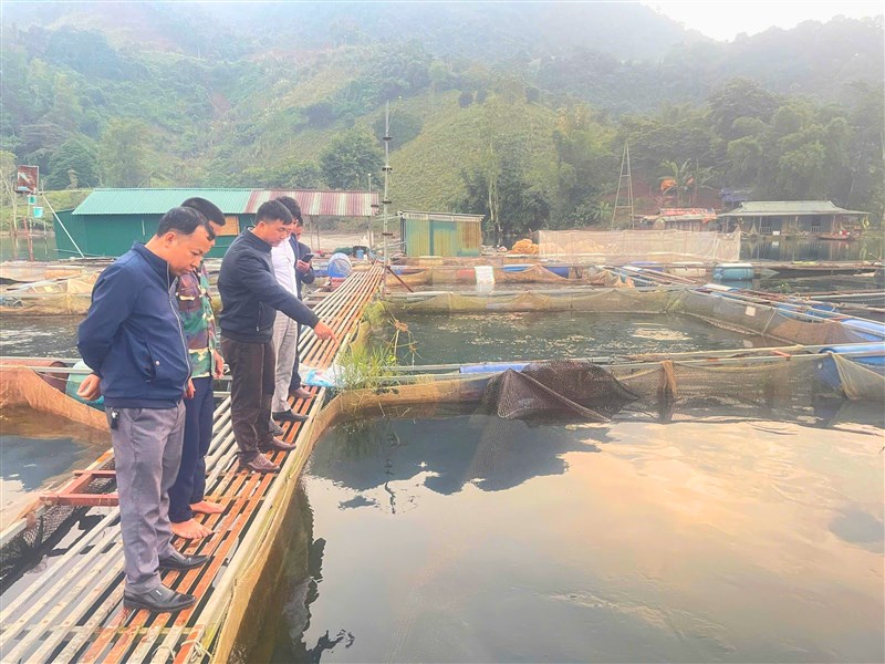 Hội Nông dân xã Thung Nai kiểm tra mô hình nuôi cá lồng từ nguồn vốn Quỹ hỗ trợ nông dân