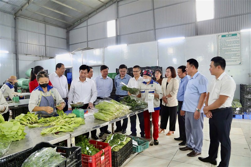 HỘI NÔNG DÂN PHÚ THỌ: ĐIỂM TỰA VỮNG CHẮC CHO NÔNG NGHIỆP VÀ NÔNG THÔN MỚI