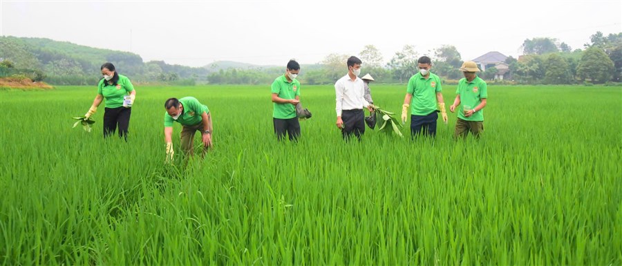 Hội Nông dân xã Tây Cốc ra quân diệt chuột tập trung bảo vệ sản xuất vụ Xuân năm 2026