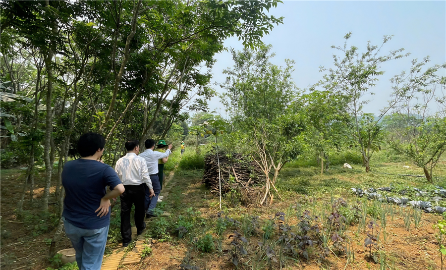 HỘI NÔNG DÂN TỈNH PHÚ THỌ KHẢO SÁT CÁC MÔ HÌNH KINH TẾ TẬP THỂ TIÊU BIỂU TẠI XÃ CAO PHONG VÀ ĐÀ BẮC