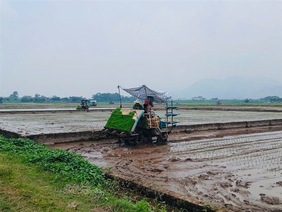 Nông dân xã Cẩm Khê ứng dụng cơ giới hóa trong sản xuất nông nghiệp