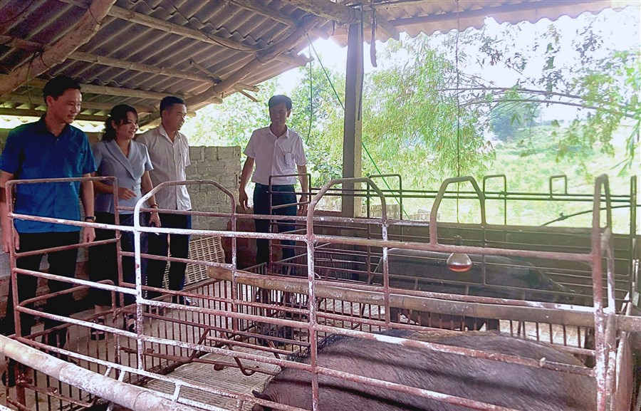 KẾT QUẢ HOẠT ĐỘNG ỦY THÁC 6 THÁNG ĐẦU NĂM; NHIỆM VỤ, GIẢI PHÁP 6 THÁNG CUỐI NĂM 2026 