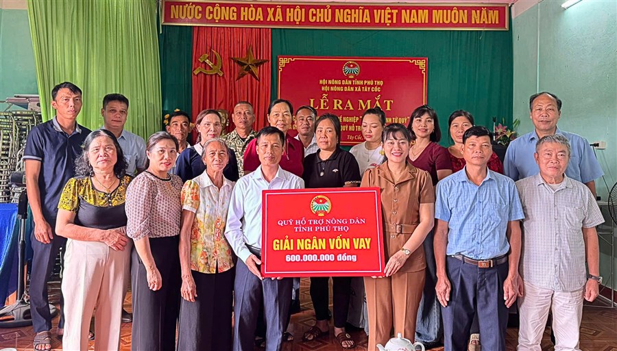 Hội Nông dân xã Tây Cốc ra mắt Chi hội Nông dân nghề nghiệp "Trồng chanh tứ quý", giải ngân 600 triệu đồng Quỹ Hỗ trợ nông dân