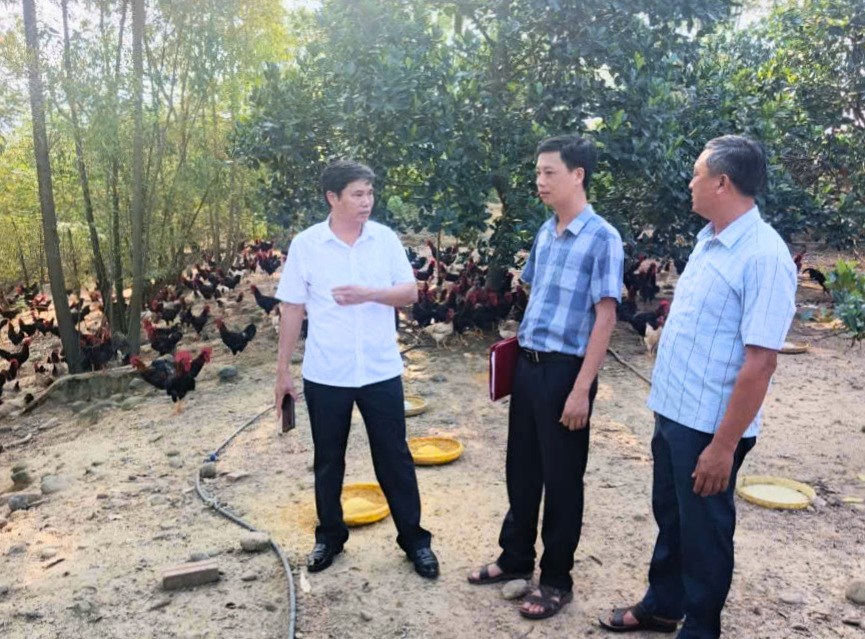 Quỹ Hỗ trợ nông dân tỉnh kiểm tra, thẩm định dự án Chăn nuôi gà thịt tại xã Vạn Xuân