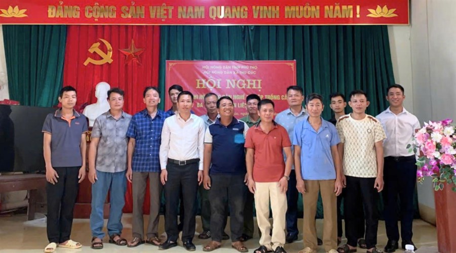 Hội Nông dân xã Thu Cúc ra mắt Chi hội Nông dân nghề nghiệp trồng cây ba kích