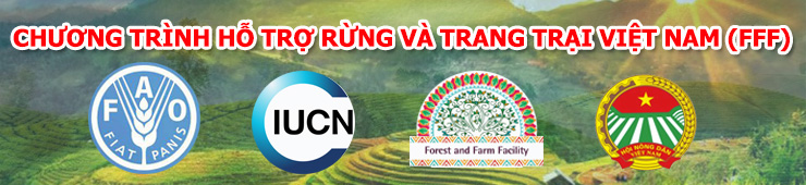 Chương trình hỗ trợ rừng và trang trại Việt Nam (FFF)